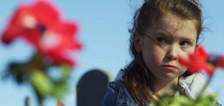 Special Christmas Rental Campaign! Cel